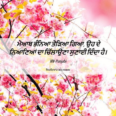 Picture 06 - ਯਿਰਮਿਯਾਹ 48:4 PANIRV - ਮੋਆਬ ਭੰਨਿਆ ਤੋੜਿਆ - Bible Verse Picture