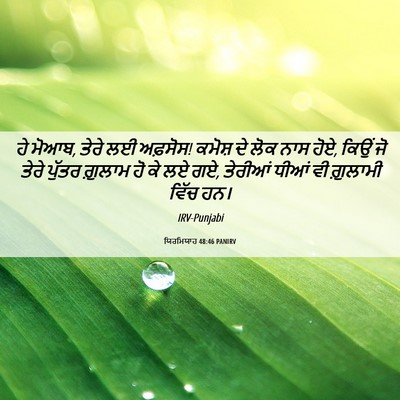 Picture 06 - ਯਿਰਮਿਯਾਹ 48:46 PANIRV - ਹੇ ਮੋਆਬ, ਤੇਰੇ ਲਈ - Bible Verse Picture