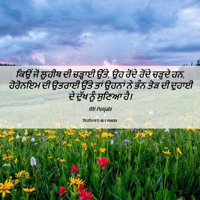 Picture 06 - ਯਿਰਮਿਯਾਹ 48:5 PANIRV - ਕਿਉਂ ਜੋ ਲੂਹੀਥ ਦੀ - Bible Verse Picture