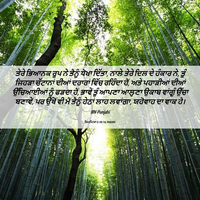 Picture 06 - ਯਿਰਮਿਯਾਹ 49:16 PANIRV - ਤੇਰੇ ਭਿਆਨਕ ਰੂਪ ਨੇ - Bible Verse Picture