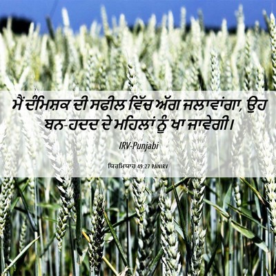 Picture 06 - ਯਿਰਮਿਯਾਹ 49:27 PANIRV - ਮੈਂ ਦੰਮਿਸ਼ਕ ਦੀ - Bible Verse Picture