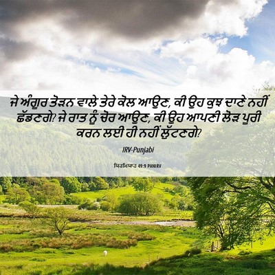Picture 06 - ਯਿਰਮਿਯਾਹ 49:9 PANIRV - ਜੇ ਅੰਗੂਰ ਤੋੜਨ ਵਾਲੇ - Bible Verse Picture