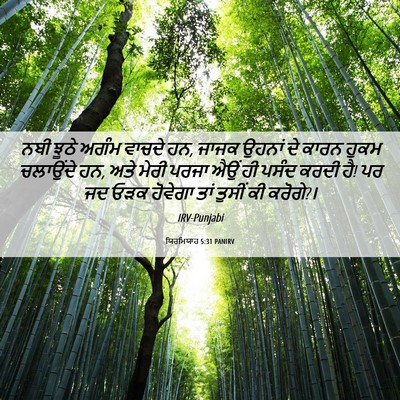 Picture 06 - ਯਿਰਮਿਯਾਹ 5:31 PANIRV - ਨਬੀ ਝੂਠੇ ਅਗੰਮ - Bible Verse Picture