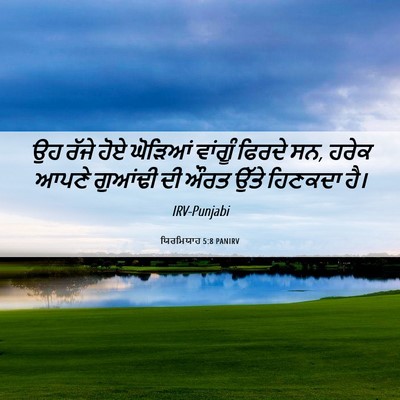 Picture 06 - ਯਿਰਮਿਯਾਹ 5:8 PANIRV - ਉਹ ਰੱਜੇ ਹੋਏ ਘੋੜਿਆਂ - Bible Verse Picture