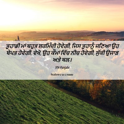 Picture 06 - ਯਿਰਮਿਯਾਹ 50:12 PANIRV - ਤੁਹਾਡੀ ਮਾਂ ਬਹੁਤ - Bible Verse Picture