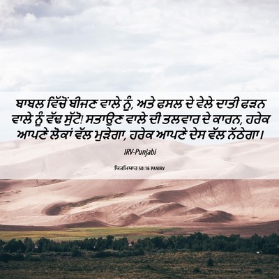 Picture 06 - ਯਿਰਮਿਯਾਹ 50:16 PANIRV - ਬਾਬਲ ਵਿੱਚੋਂ ਬੀਜਣ - Bible Verse Picture