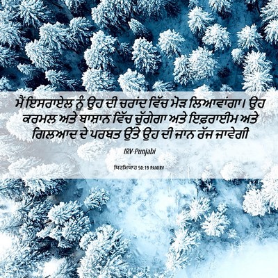Picture 06 - ਯਿਰਮਿਯਾਹ 50:19 PANIRV - ਮੈਂ ਇਸਰਾਏਲ ਨੂੰ ਉਹ - Bible Verse Picture