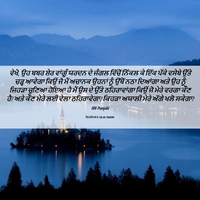 Picture 06 - ਯਿਰਮਿਯਾਹ 50:44 PANIRV - ਵੇਖੋ, ਉਹ ਬਬਰ ਸ਼ੇਰ - Bible Verse Picture