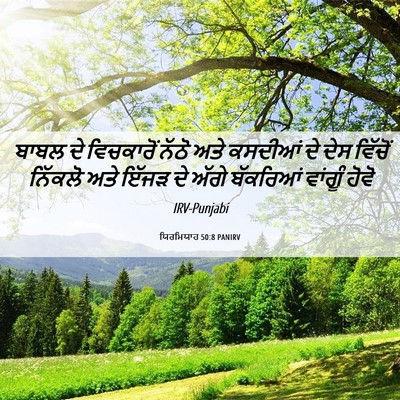 Picture 06 - ਯਿਰਮਿਯਾਹ 50:8 PANIRV - ਬਾਬਲ ਦੇ ਵਿਚਕਾਰੋਂ - Bible Verse Picture