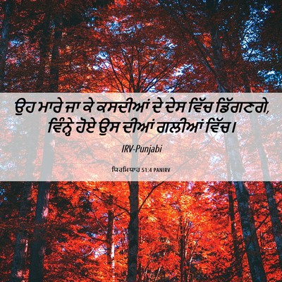 Picture 06 - ਯਿਰਮਿਯਾਹ 51:4 PANIRV - ਉਹ ਮਾਰੇ ਜਾ ਕੇ - Bible Verse Picture