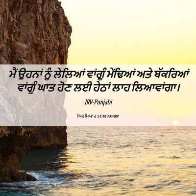 Picture 06 - ਯਿਰਮਿਯਾਹ 51:40 PANIRV - ਮੈਂ ਉਹਨਾਂ ਨੂੰ - Bible Verse Picture