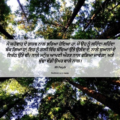 Picture 06 - ਯਿਰਮਿਯਾਹ 6:11 PANIRV - ਮੈਂ ਯਹੋਵਾਹ ਦੇ ਗਜ਼ਬ - Bible Verse Picture