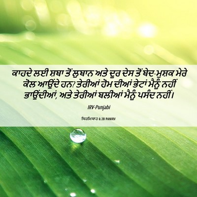 Picture 06 - ਯਿਰਮਿਯਾਹ 6:20 PANIRV - ਕਾਹਦੇ ਲਈ ਸ਼ਬਾ ਤੋਂ - Bible Verse Picture