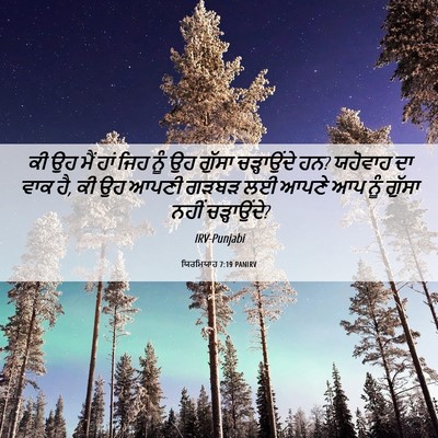 Picture 06 - ਯਿਰਮਿਯਾਹ 7:19 PANIRV - ਕੀ ਉਹ ਮੈਂ ਹਾਂ ਜਿਹ - Bible Verse Picture