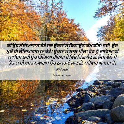 Picture 06 - ਯਿਰਮਿਯਾਹ 8:12 PANIRV - ਕੀ ਉਹ ਲੱਜਿਆਵਾਨ ਹੋਏ - Bible Verse Picture