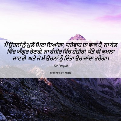 Picture 06 - ਯਿਰਮਿਯਾਹ 8:13 PANIRV - ਮੈਂ ਉਹਨਾਂ ਨੂੰ - Bible Verse Picture