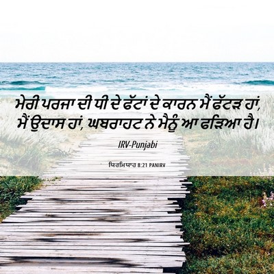 Picture 06 - ਯਿਰਮਿਯਾਹ 8:21 PANIRV - ਮੇਰੀ ਪਰਜਾ ਦੀ ਧੀ ਦੇ - Bible Verse Picture