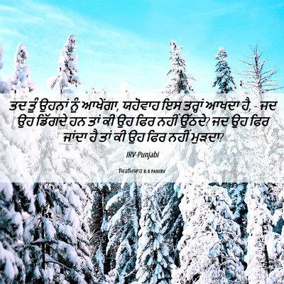 Picture 06 - ਯਿਰਮਿਯਾਹ 8:4 PANIRV - ਤਦ ਤੂੰ ਉਹਨਾਂ ਨੂੰ - Bible Verse Picture