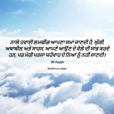 Picture 06 - ਯਿਰਮਿਯਾਹ 8:7 PANIRV - ਨਾਲੇ ਹਵਾਈ ਲਮਢੀਂਗ - Bible Verse Picture