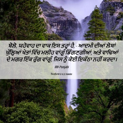 Picture 06 - ਯਿਰਮਿਯਾਹ 9:22 PANIRV - ਬੋਲੋ, ਯਹੋਵਾਹ ਦਾ ਵਾਕ - Bible Verse Picture