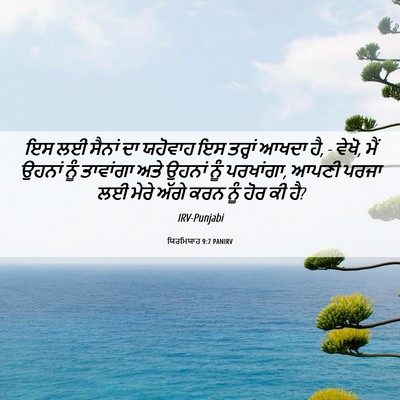 Picture 06 - ਯਿਰਮਿਯਾਹ 9:7 PANIRV - ਇਸ ਲਈ ਸੈਨਾਂ ਦਾ - Bible Verse Picture