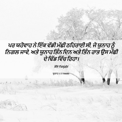Picture 06 - ਯੂਨਾਹ 1:17 PANIRV - ਪਰ ਯਹੋਵਾਹ ਨੇ ਇੱਕ - Bible Verse Picture