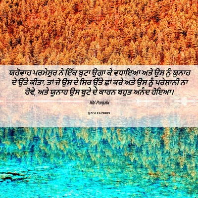 Picture 06 - ਯੂਨਾਹ 4:6 PANIRV - ਯਹੋਵਾਹ ਪਰਮੇਸ਼ੁਰ - Bible Verse Picture