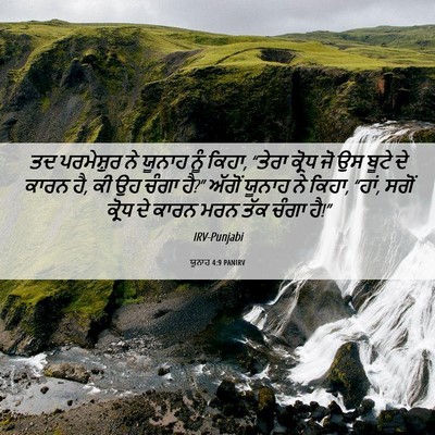 Picture 06 - ਯੂਨਾਹ 4:9 PANIRV - ਤਦ ਪਰਮੇਸ਼ੁਰ ਨੇ - Bible Verse Picture