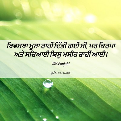 Picture 06 - ਯੂਹੰਨਾ 1:17 PANIRV - ਬਿਵਸਥਾ ਮੂਸਾ ਰਾਹੀਂ - Bible Verse Picture