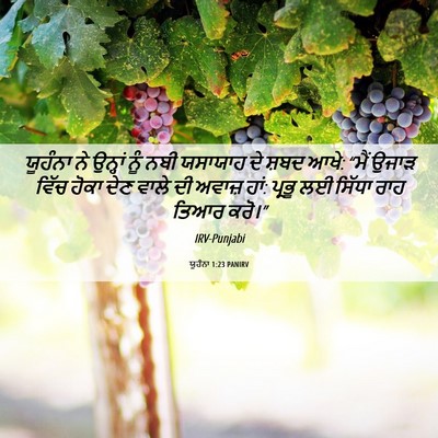 Picture 06 - ਯੂਹੰਨਾ 1:23 PANIRV - ਯੂਹੰਨਾ ਨੇ ਉਨ੍ਹਾਂ - Bible Verse Picture