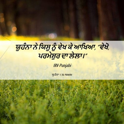 Picture 06 - ਯੂਹੰਨਾ 1:36 PANIRV - ਯੂਹੰਨਾ ਨੇ ਯਿਸੂ ਨੂੰ - Bible Verse Picture
