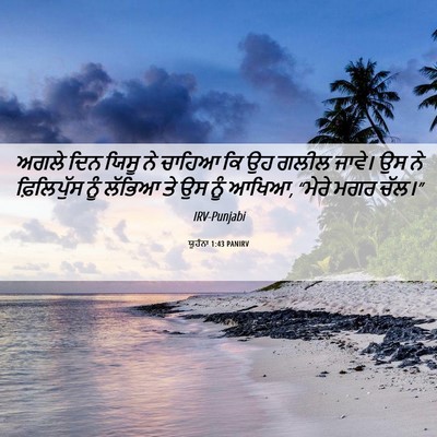 Picture 06 - ਯੂਹੰਨਾ 1:43 PANIRV - ਅਗਲੇ ਦਿਨ ਯਿਸੂ ਨੇ - Bible Verse Picture