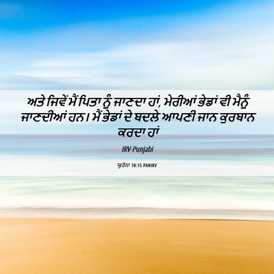 Picture 06 - ਯੂਹੰਨਾ 10:15 PANIRV - ਅਤੇ ਜਿਵੇਂ ਮੈਂ ਪਿਤਾ - Bible Verse Picture