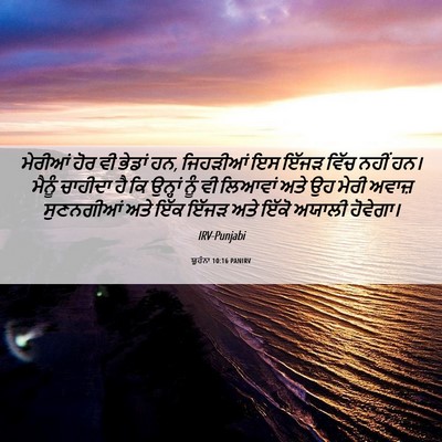 Picture 06 - ਯੂਹੰਨਾ 10:16 PANIRV - ਮੇਰੀਆਂ ਹੋਰ ਵੀ - Bible Verse Picture