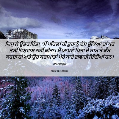 Picture 06 - ਯੂਹੰਨਾ 10:25 PANIRV - ਯਿਸੂ ਨੇ ਉੱਤਰ ਦਿੱਤਾ, - Bible Verse Picture