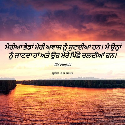 Picture 06 - ਯੂਹੰਨਾ 10:27 PANIRV - ਮੇਰੀਆਂ ਭੇਡਾਂ ਮੇਰੀ - Bible Verse Picture