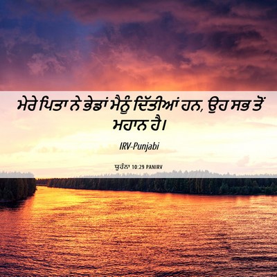 Picture 06 - ਯੂਹੰਨਾ 10:29 PANIRV - ਮੇਰੇ ਪਿਤਾ ਨੇ ਭੇਡਾਂ - Bible Verse Picture