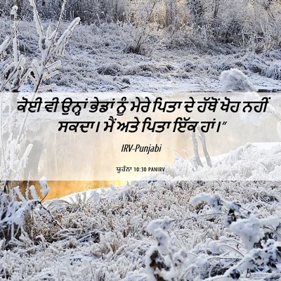 Picture 06 - ਯੂਹੰਨਾ 10:30 PANIRV - ਕੋਈ ਵੀ ਉਨ੍ਹਾਂ - Bible Verse Picture