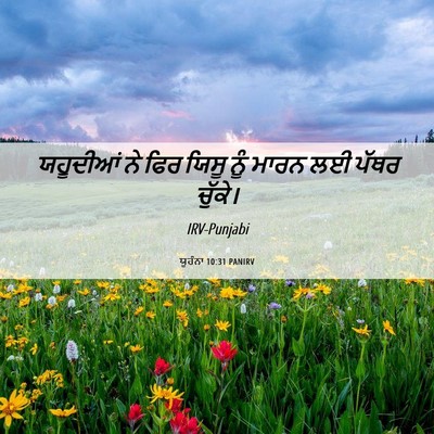 Picture 06 - ਯੂਹੰਨਾ 10:31 PANIRV - ਯਹੂਦੀਆਂ ਨੇ ਫਿਰ - Bible Verse Picture