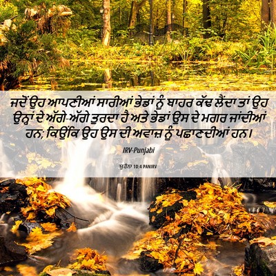 Picture 06 - ਯੂਹੰਨਾ 10:4 PANIRV - ਜਦੋਂ ਉਹ ਆਪਣੀਆਂ - Bible Verse Picture