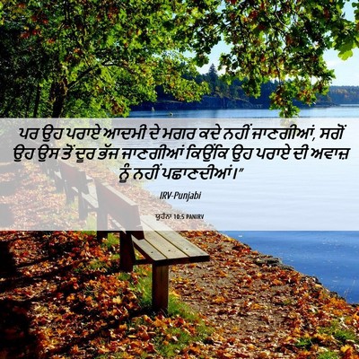 Picture 06 - ਯੂਹੰਨਾ 10:5 PANIRV - ਪਰ ਉਹ ਪਰਾਏ ਆਦਮੀ ਦੇ - Bible Verse Picture