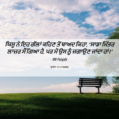 Picture 06 - ਯੂਹੰਨਾ 11:11 PANIRV - ਯਿਸੂ ਨੇ ਇਹ ਗੱਲਾਂ - Bible Verse Picture