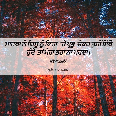 Picture 06 - ਯੂਹੰਨਾ 11:21 PANIRV - ਮਾਰਥਾ ਨੇ ਯਿਸੂ ਨੂੰ - Bible Verse Picture