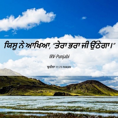 Picture 06 - ਯੂਹੰਨਾ 11:23 PANIRV - ਯਿਸੂ ਨੇ ਆਖਿਆ, “ਤੇਰਾ - Bible Verse Picture