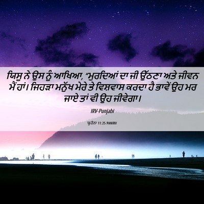 Picture 06 - ਯੂਹੰਨਾ 11:25 PANIRV - ਯਿਸੂ ਨੇ ਉਸ ਨੂੰ - Bible Verse Picture