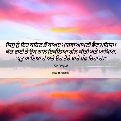 Picture 06 - ਯੂਹੰਨਾ 11:28 PANIRV - ਯਿਸੂ ਨੂੰ ਇਹ ਕਹਿਣ - Bible Verse Picture