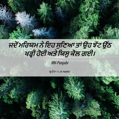 Picture 06 - ਯੂਹੰਨਾ 11:29 PANIRV - ਜਦੋਂ ਮਰਿਯਮ ਨੇ ਇਹ - Bible Verse Picture