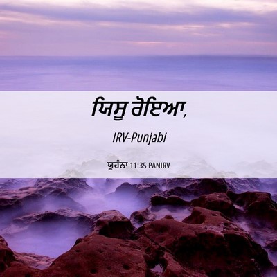 Picture 06 - ਯੂਹੰਨਾ 11:35 PANIRV - ਯਿਸੂ - Bible Verse Picture