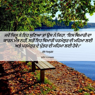 Picture 06 - ਯੂਹੰਨਾ 11:4 PANIRV - ਜਦੋਂ ਯਿਸੂ ਨੇ ਇਹ - Bible Verse Picture