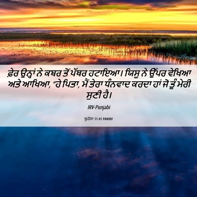 Picture 06 - ਯੂਹੰਨਾ 11:41 PANIRV - ਫ਼ੇਰ ਉਨ੍ਹਾਂ ਨੇ ਕਬਰ - Bible Verse Picture
